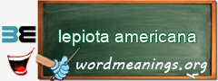 WordMeaning blackboard for lepiota americana